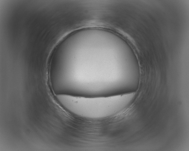 X0000073431415200607280953