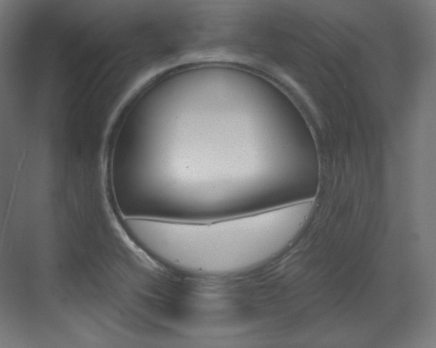 X0000073431416200607280953