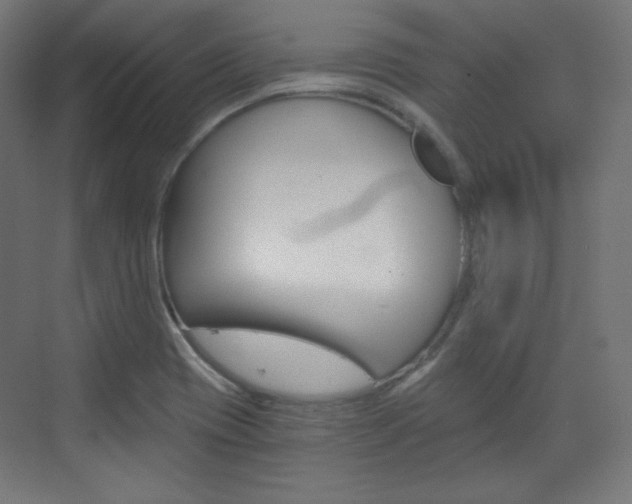 X0000073431417200607280953