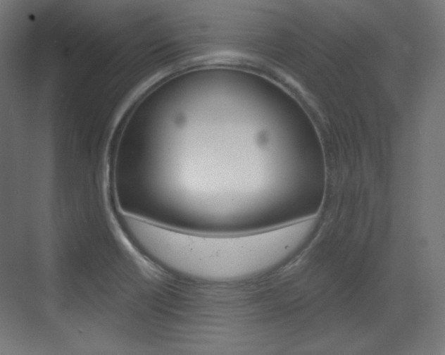 X0000073431418200607280953