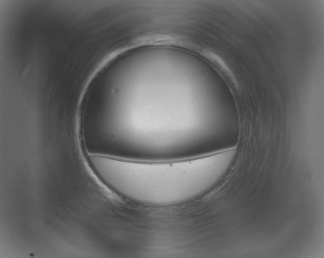 X0000073431424200607280953