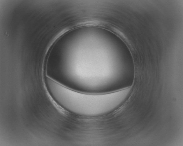 X0000073431426200607280953