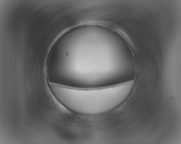X0000073431428200607280953