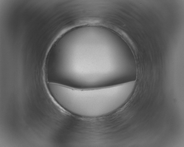 X0000073431432200607280954