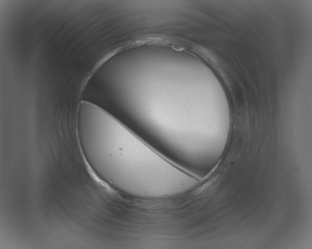 X0000073431433200607280954