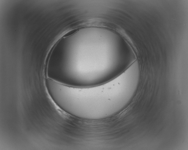 X0000073431434200607280954
