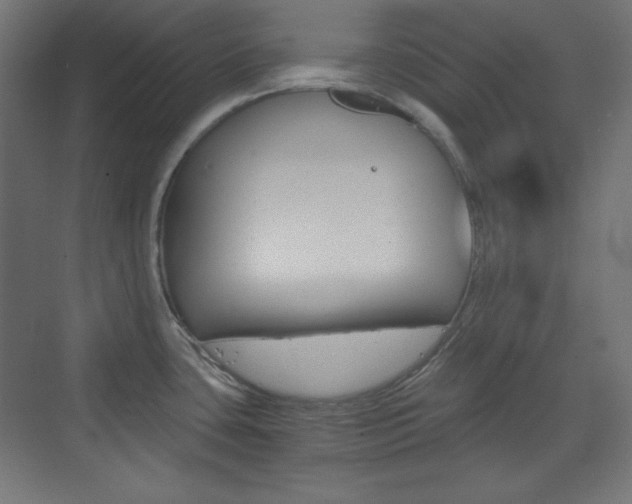 X0000073431435200607280954