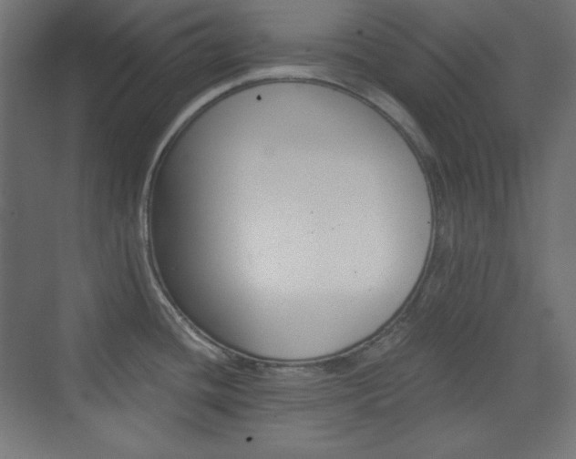 X0000073431436200607280954