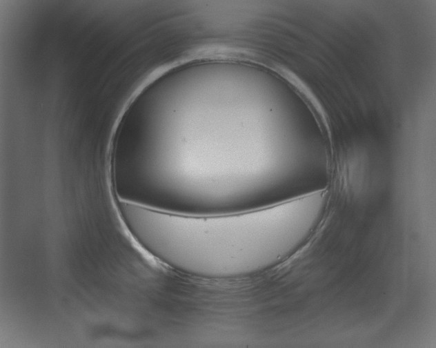 X0000073431437200607280954