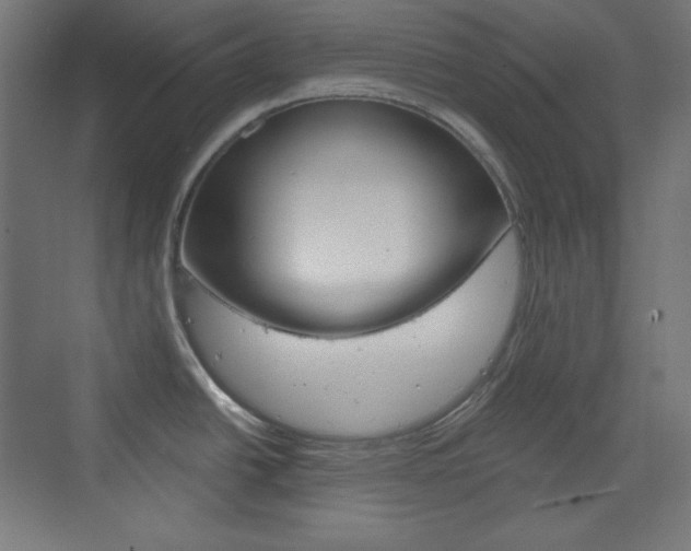 X0000073431438200607280954