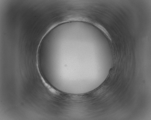 X0000073431439200607280954