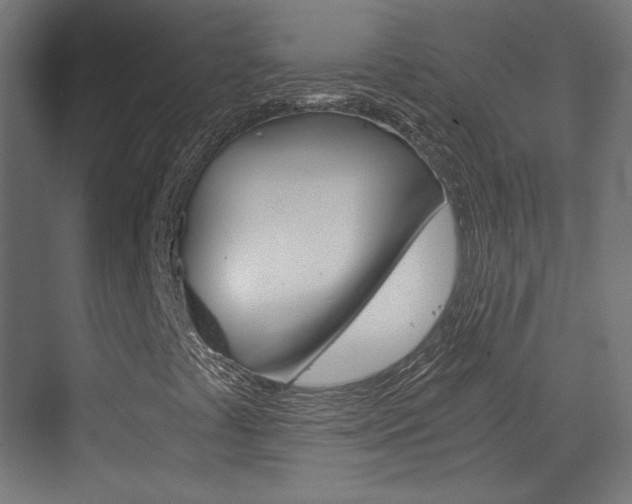 X0000073431441200607280953