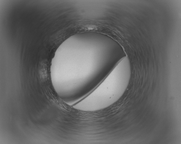 X0000073431442200607280953
