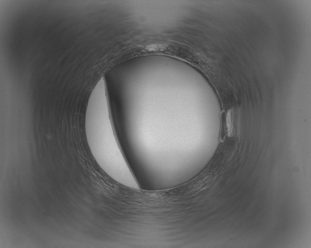 X0000073431443200607280953