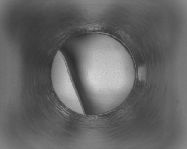 X0000073431444200607280953