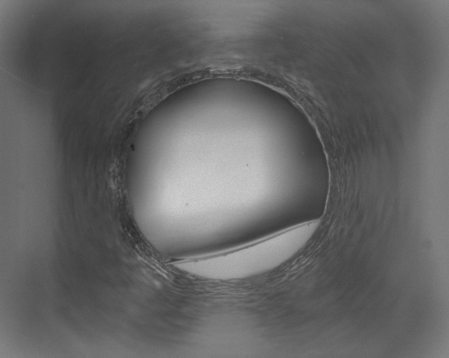 X0000073431445200607280953