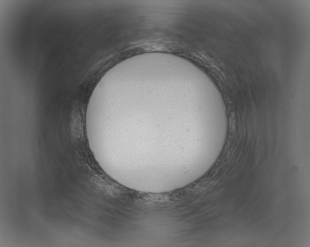 X0000073431446200607280953