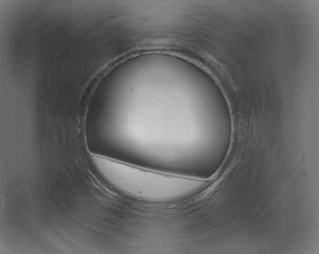 X0000073431449200607280953