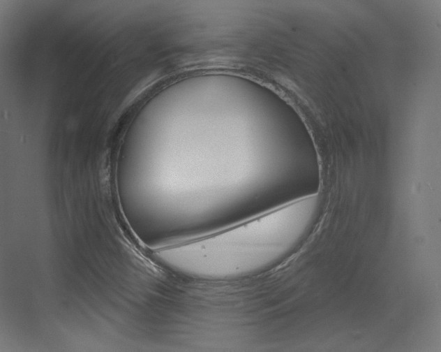 X0000073431450200607280953