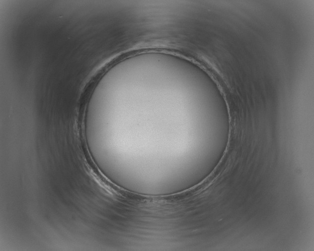 X0000073431452200607280953