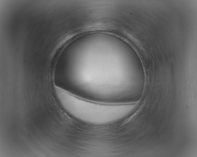 X0000073431453200607280953
