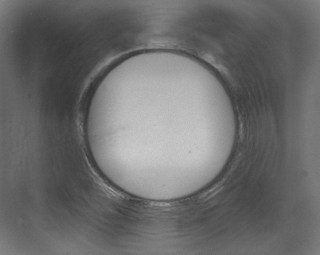 X0000073431454200607280953