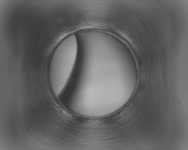 X0000073431455200607280953