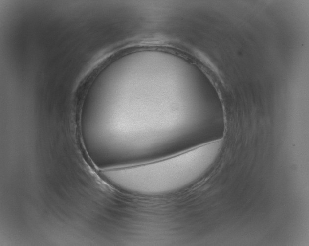 X0000073431456200607280953