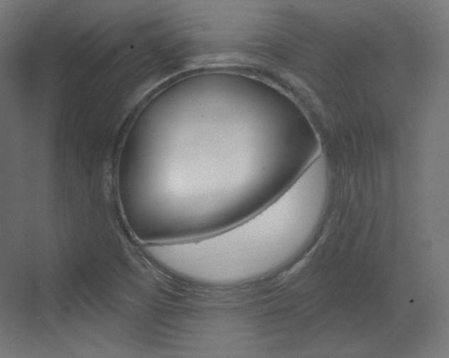 X0000073431457200607280953