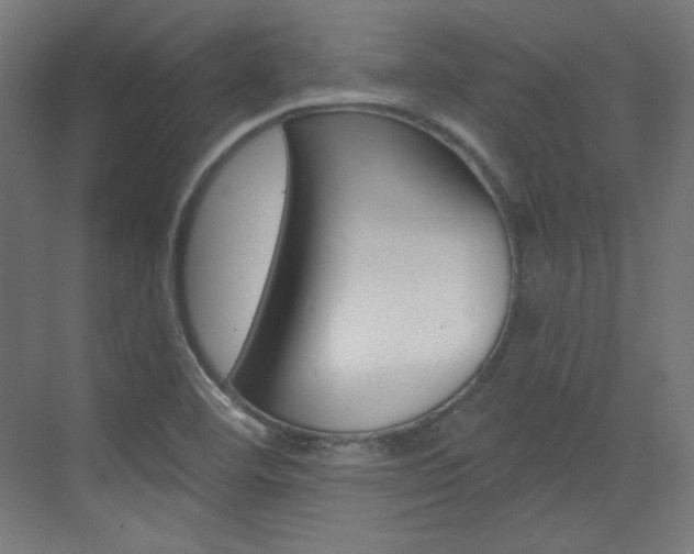 X0000073431460200607280953