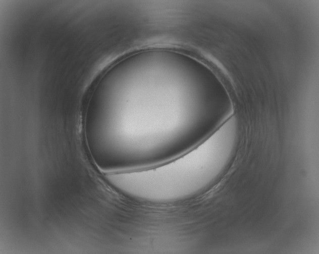X0000073431461200607280953