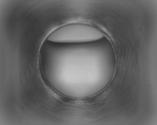 X0000073431463200607280953