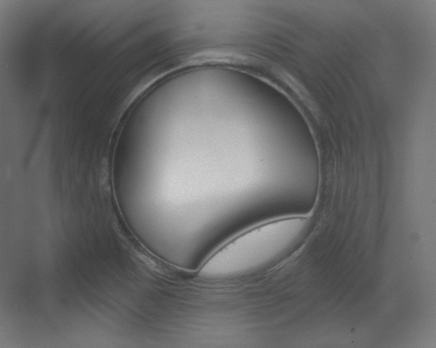 X0000073431465200607280952