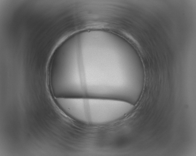 X0000073431467200607280952