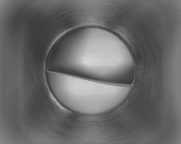 X0000073431468200607280952