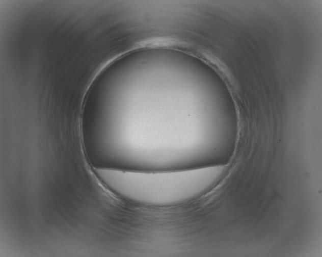 X0000073431473200607280952