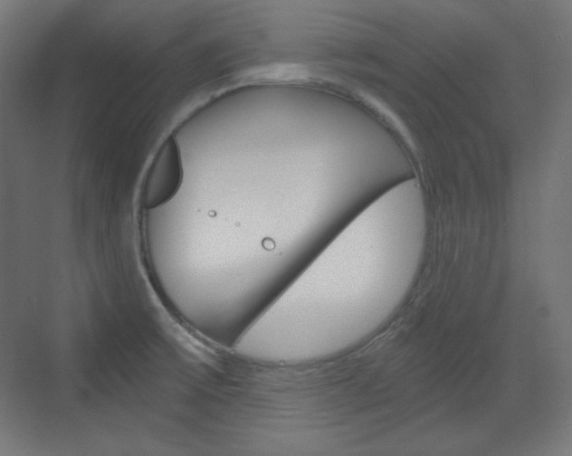 X0000073431475200607280952