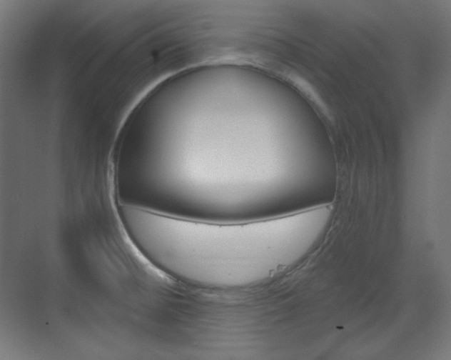 X0000073431476200607280952