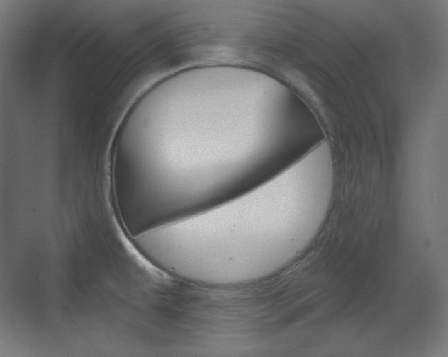 X0000073431479200607280952
