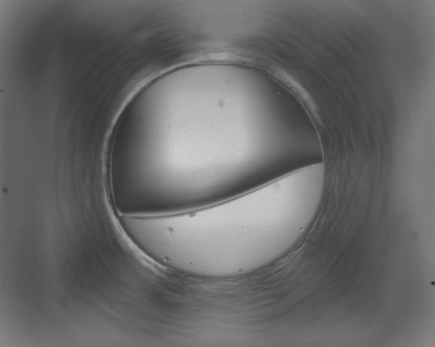 X0000073431483200607280952
