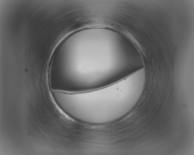 X0000073431484200607280952