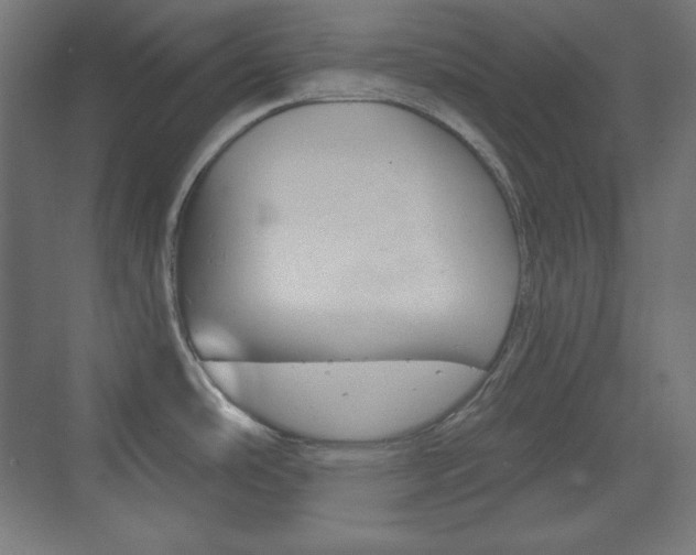 X0000073431486200607280952