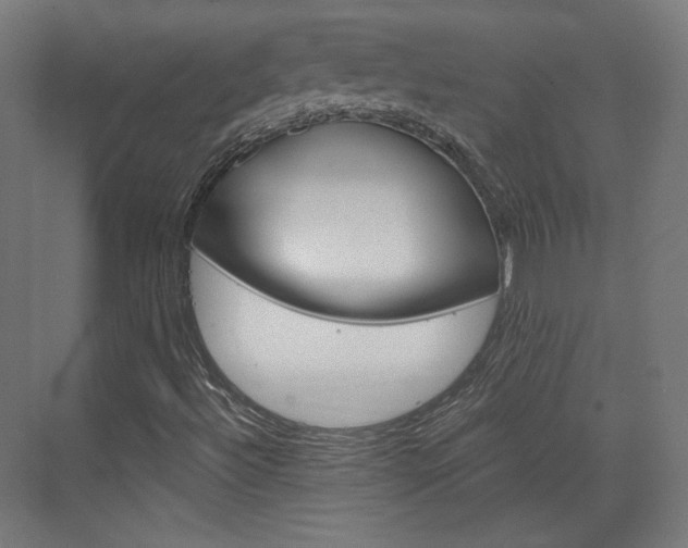X0000073431492200607280951