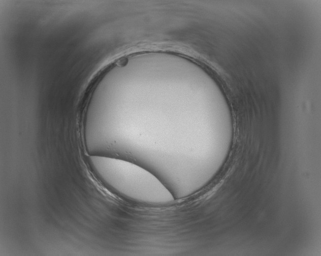 X0000073431498200607280951
