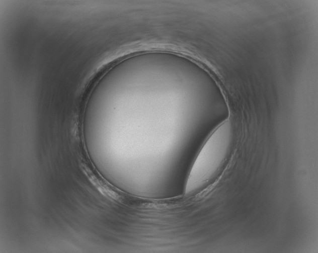 X0000073431499200607280951
