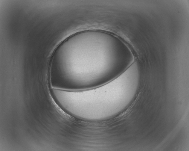 X0000073431500200607280951