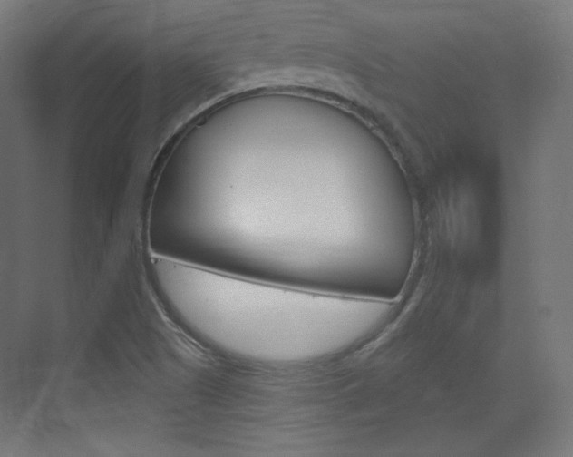 X0000073431505200607280952
