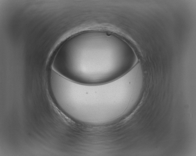 X0000073431506200607280952