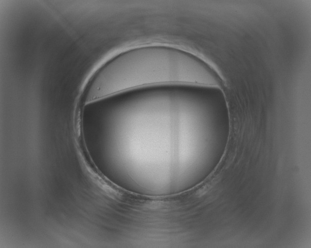 X0000073431510200607280952
