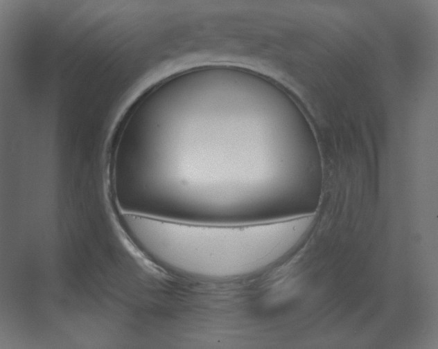 X0000073431511200607280952